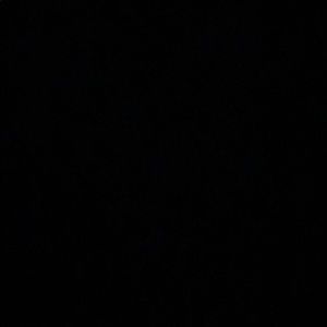 Meet your Posher, Jazmine